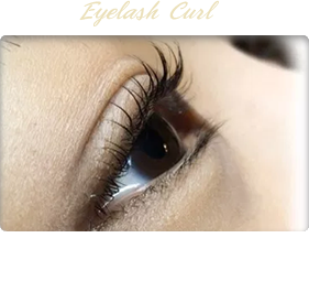 Eyelash Curl まつ毛カール 4500円